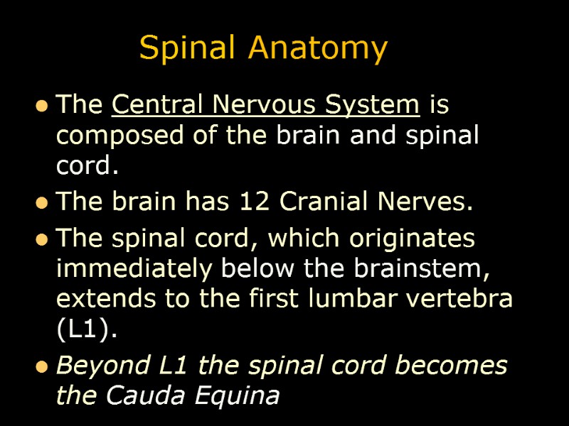 Spinal Anatomy The Central Nervous System is composed of the brain and spinal cord.